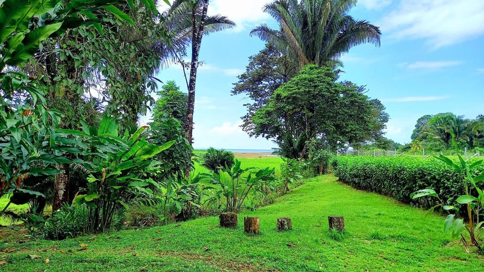 Natural landscape, Garden, Garden view, Lake view, River view, Sea view