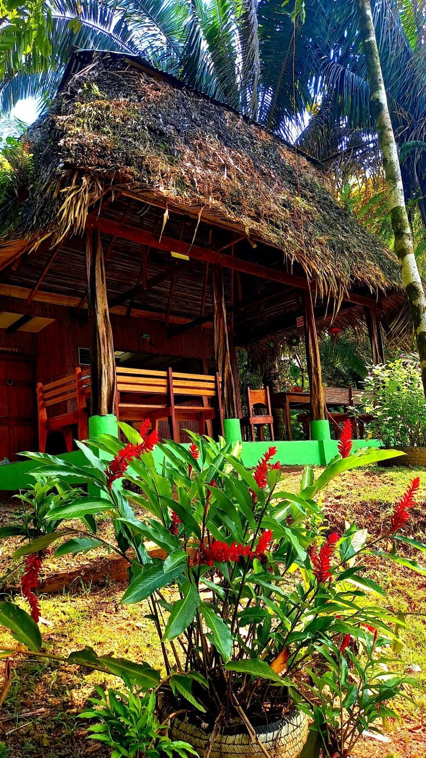 Restaurant/places to eat, Garden