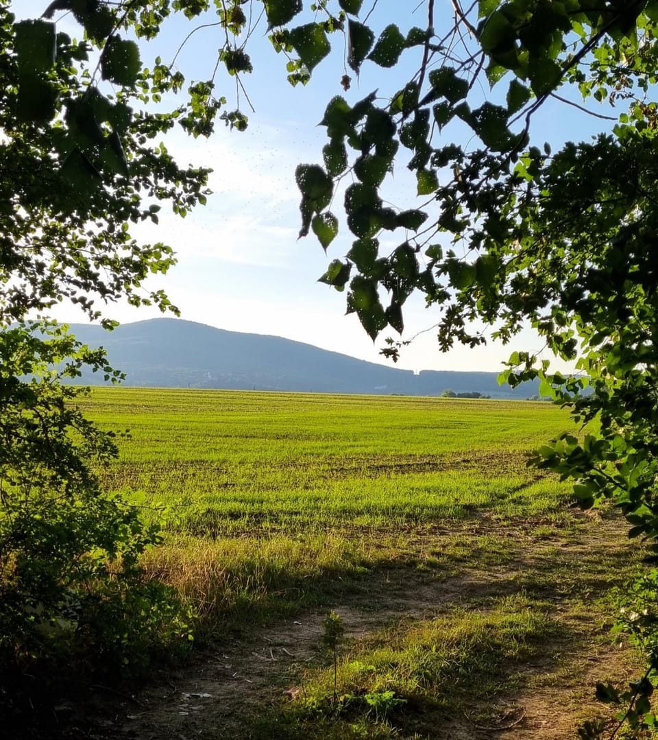 Spring, Day, Night, Natural landscape, Summer, Autumn