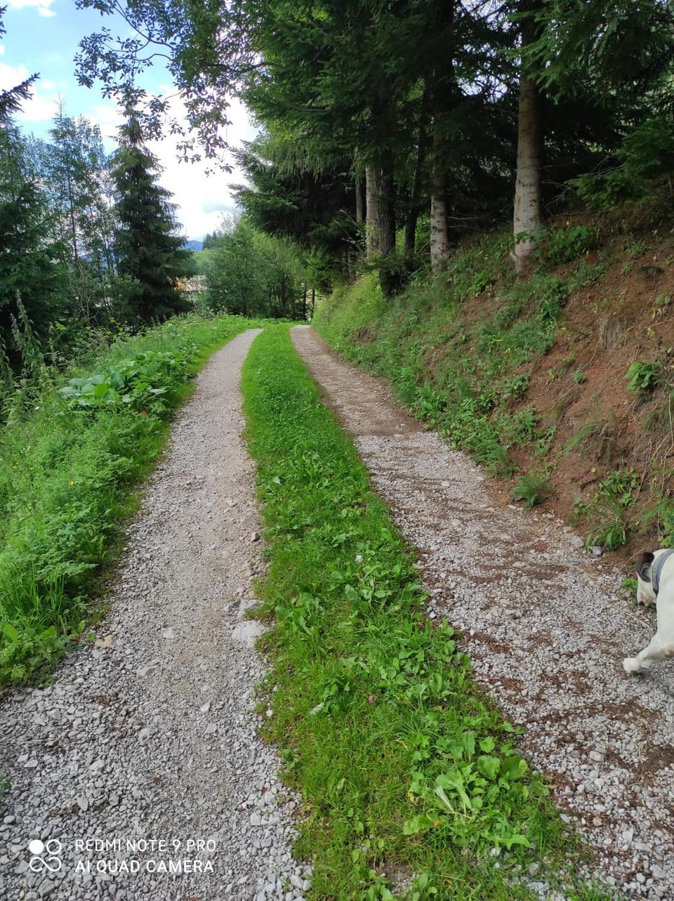 B&B antico tabià dolomitico Bed and Breakfast in Friuli-Venezia Giulia