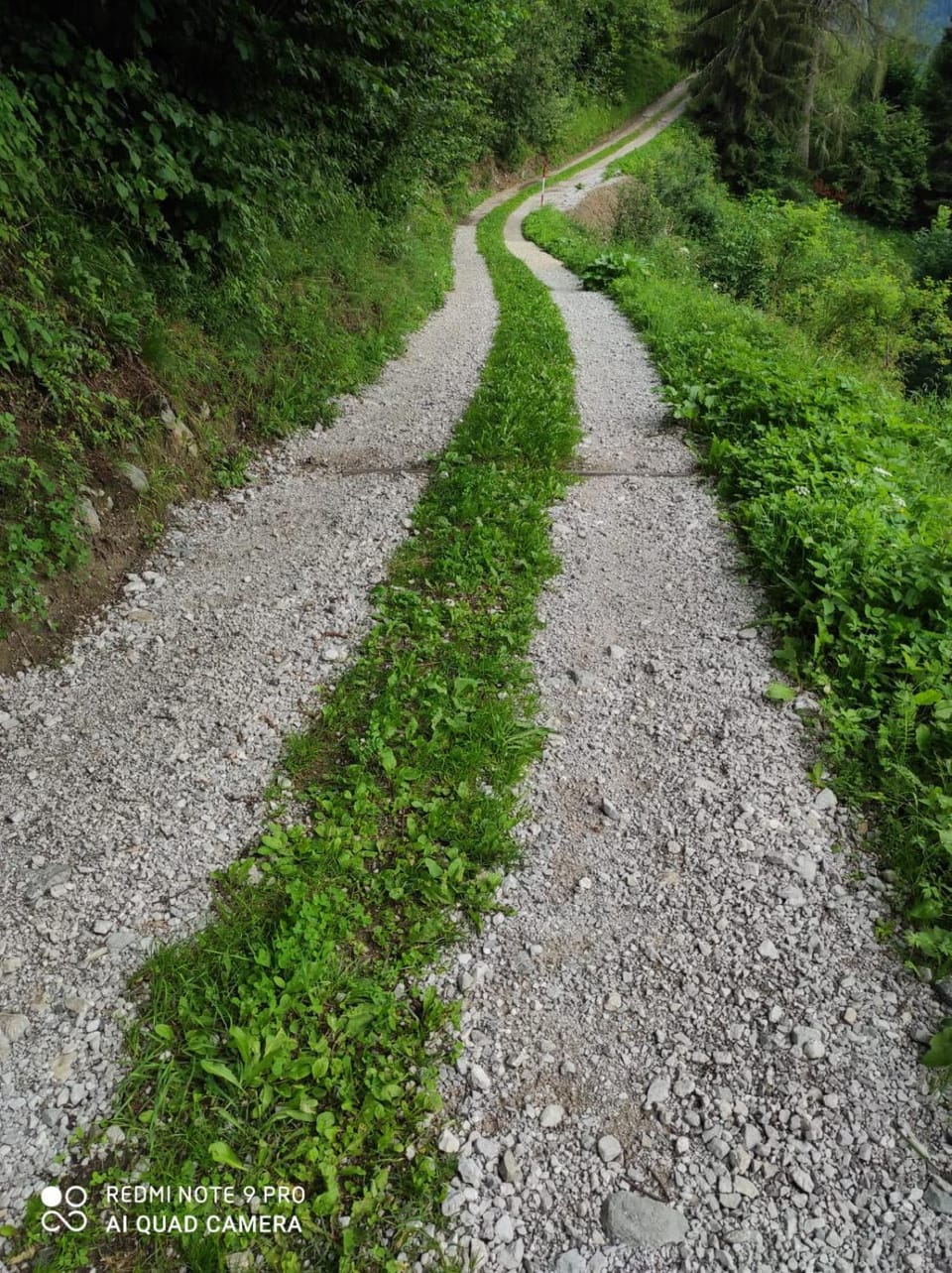 B&B antico tabià dolomitico Bed and Breakfast in Friuli-Venezia Giulia