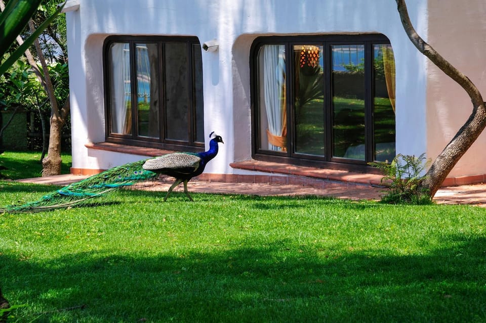 Property building, Animals