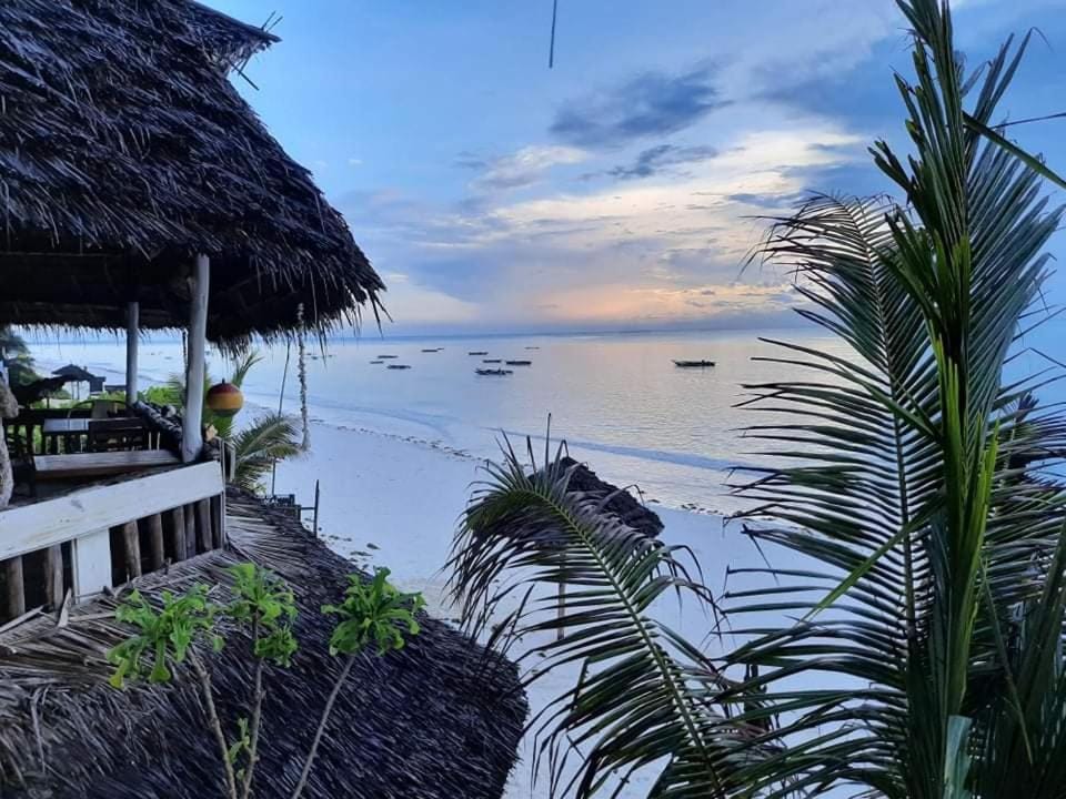 Sweet Beach Apartments Apartment in Tanzania