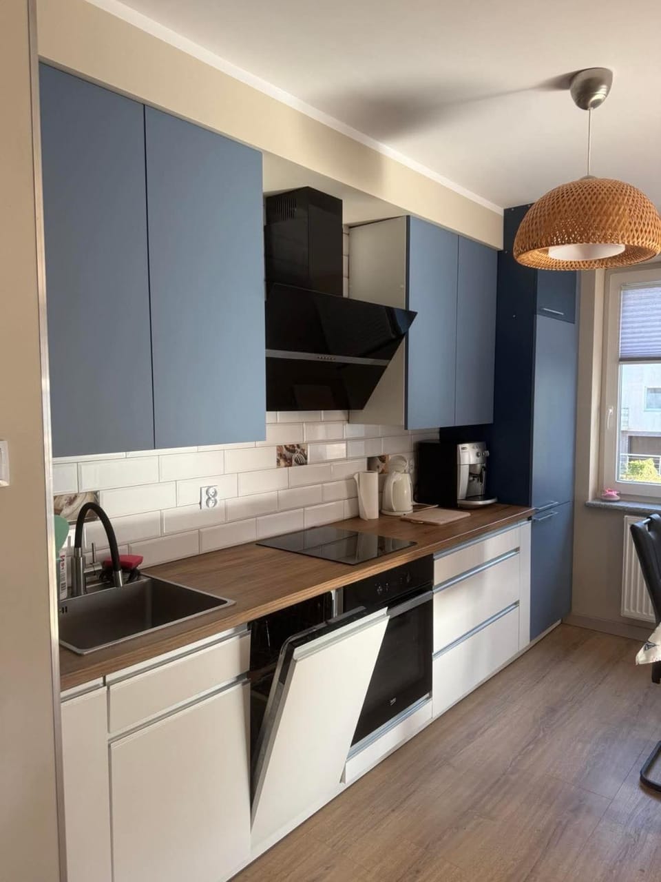 Kitchen or kitchenette, dishwasher