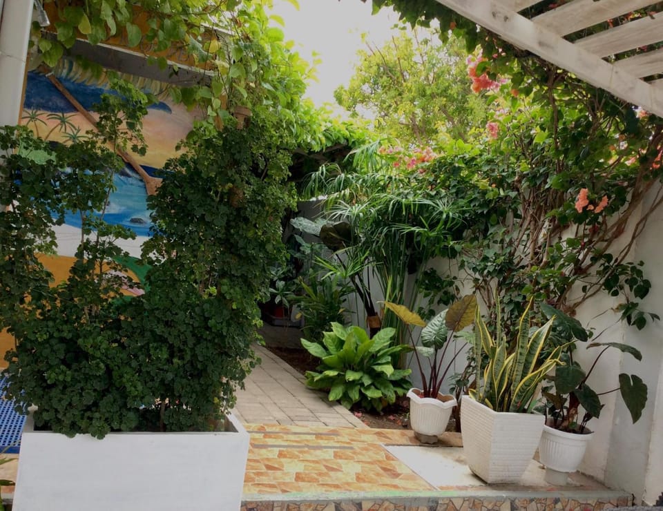 Gardenia House Rent Rooms Bed and Breakfast in Central Visayas