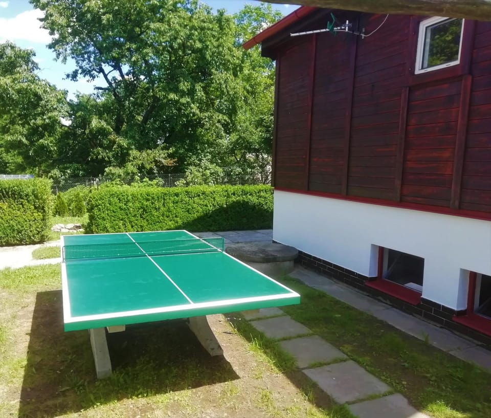 Table tennis