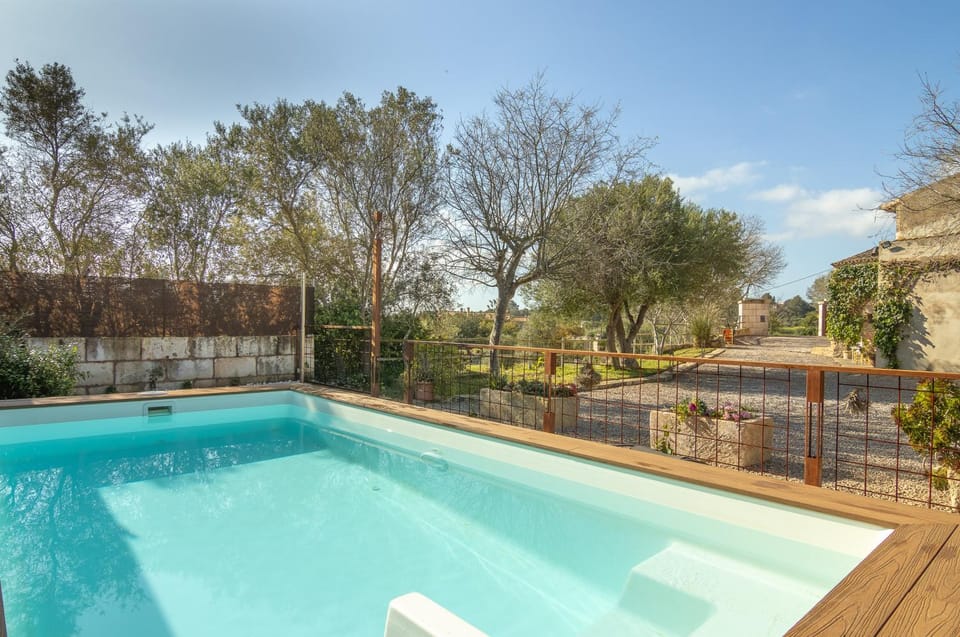 Spring, Day, Natural landscape, Garden, Garden view, Pool view, Swimming pool, sunbed