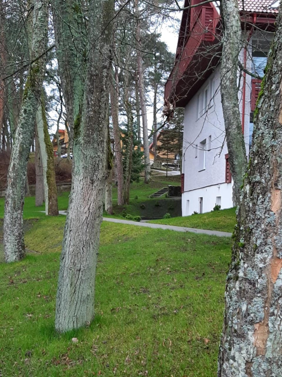 Kalno namai - apartamentas Juodkrantėje Bed and Breakfast in Klaipėda County, Lithuania