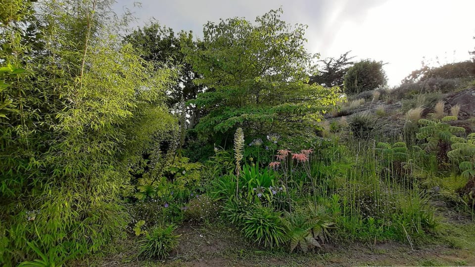 Belle villa 4 étoiles avec jardin, WIFI à 600m de la plage à TREGASTEL - Ref 137 Villa in Trégastel