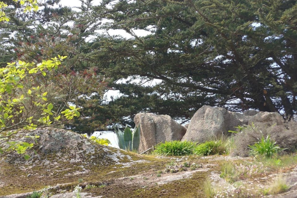 Belle villa 4 étoiles avec jardin, WIFI à 600m de la plage à TREGASTEL - Ref 137 Villa in Trégastel