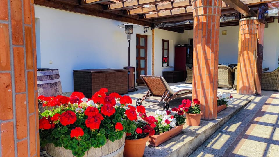 Orosz Gábor Vendégház Mád Bed and Breakfast in Slovakia