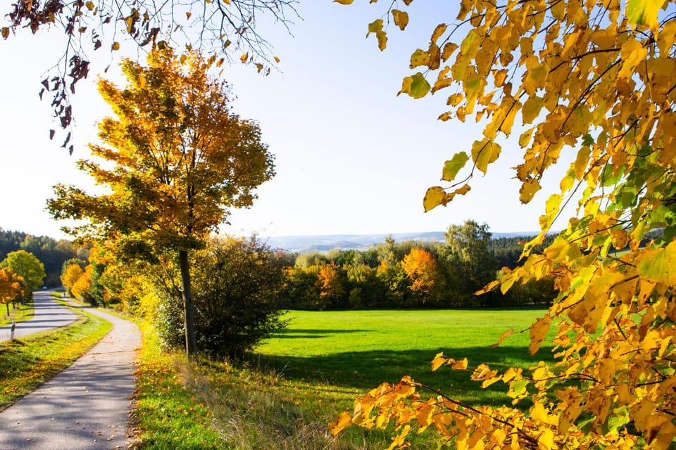 Natural landscape