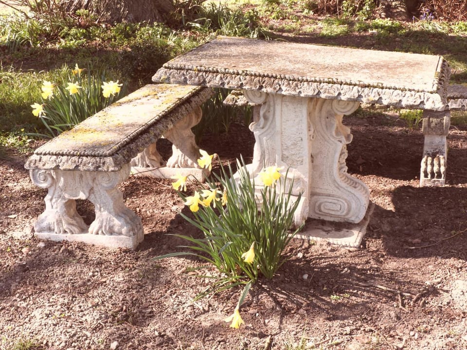 Patio, Area and facilities