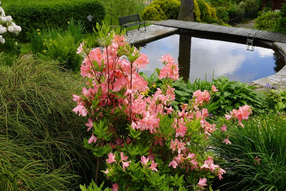 Garden, Garden view