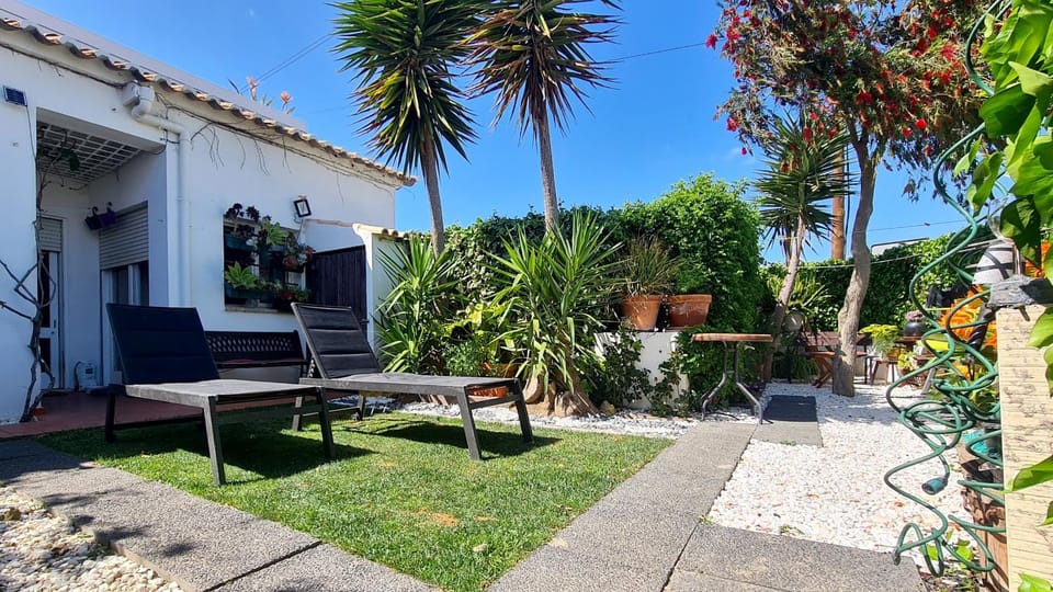 Patio, Garden, Garden view