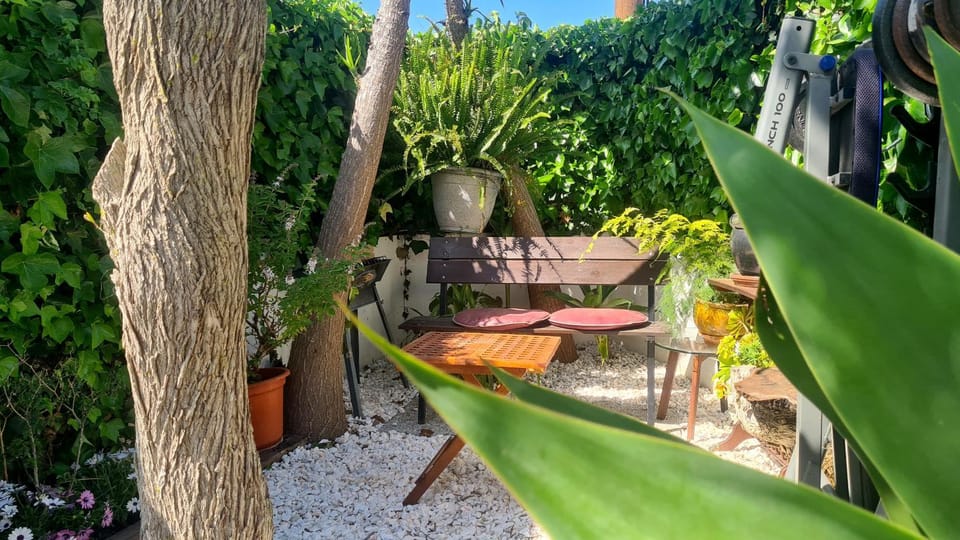 Patio, Garden, Garden view