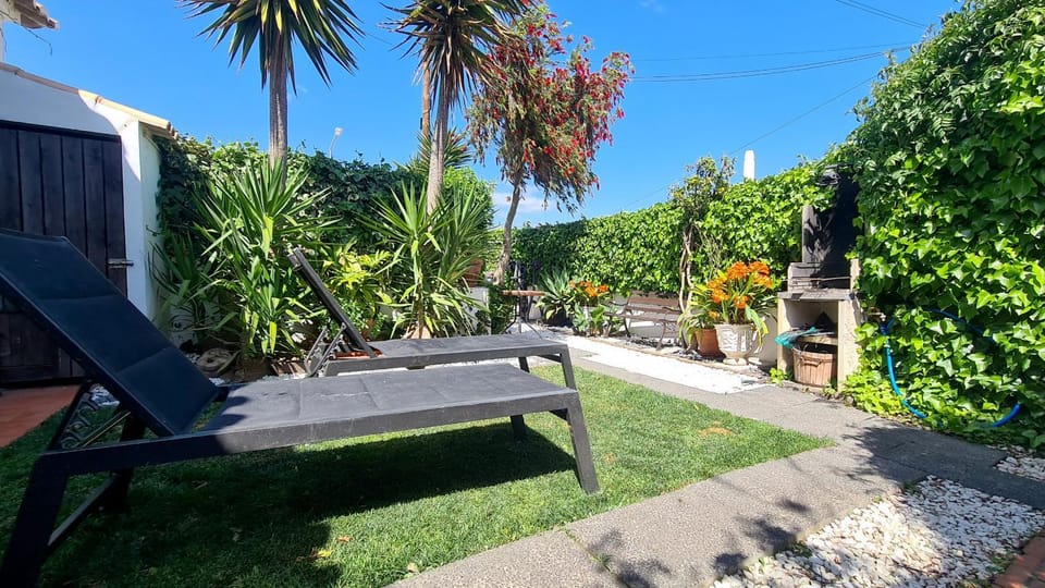 Patio, Garden, Garden view