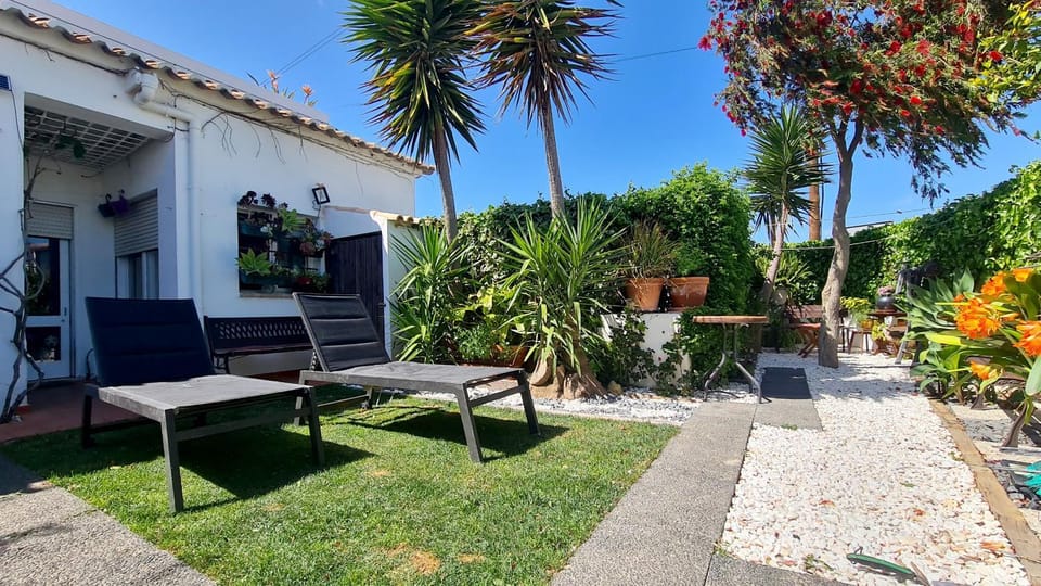 Patio, Garden, Garden view