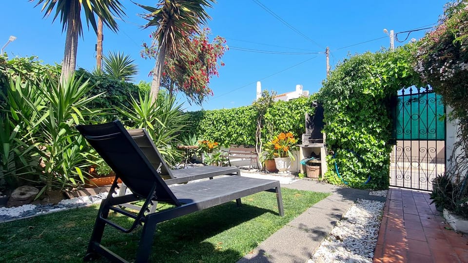 Patio, Garden, Garden view