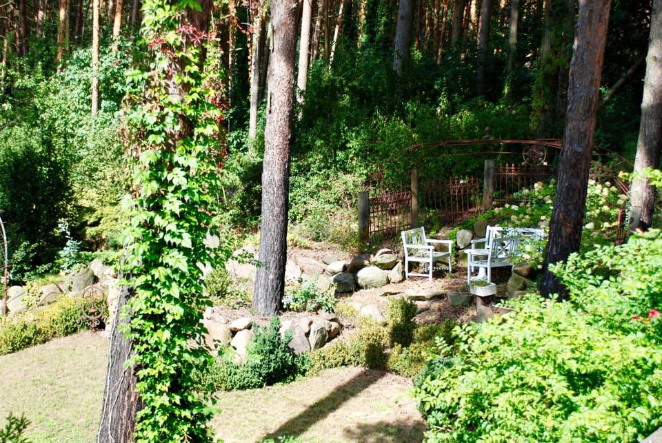 Garden view