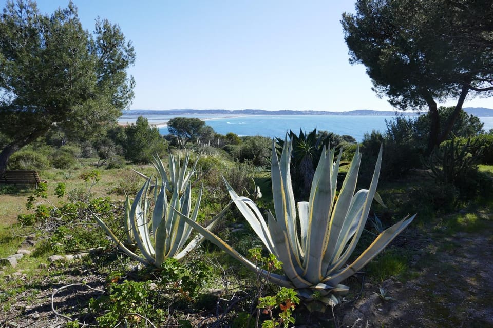 Garden, On site