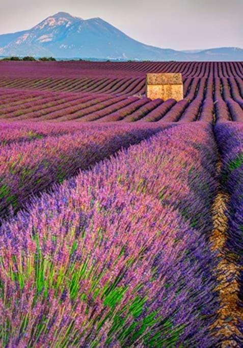 Six chandelles m'étaient comptées Bed and Breakfast in Provence-Alpes-Côte d'Azur