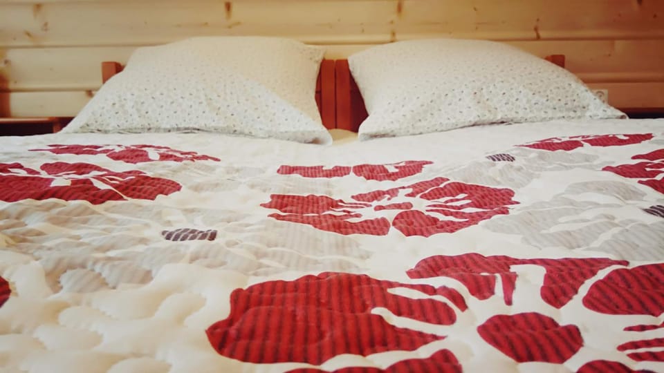 Willa Wiktoria Vacation rental in Lesser Poland Voivodeship