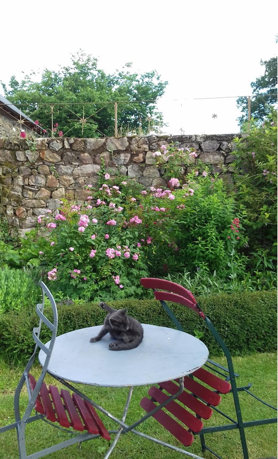 Garden, Pets
