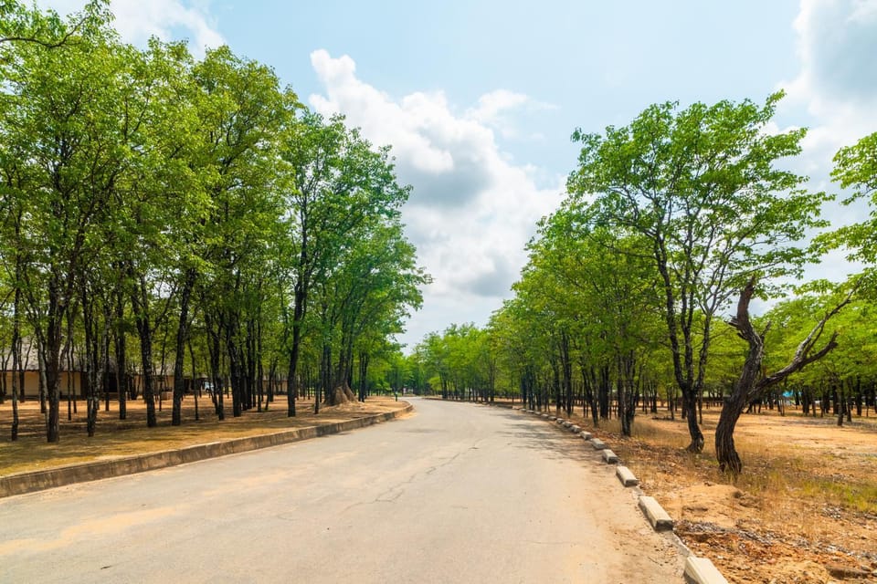 Natural landscape