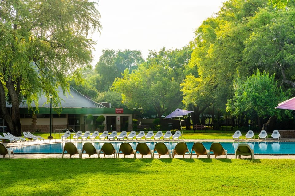 Garden, Swimming pool, sunbed