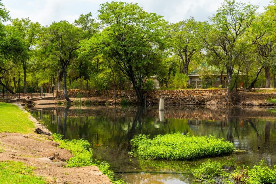 Natural landscape, Garden, Garden view