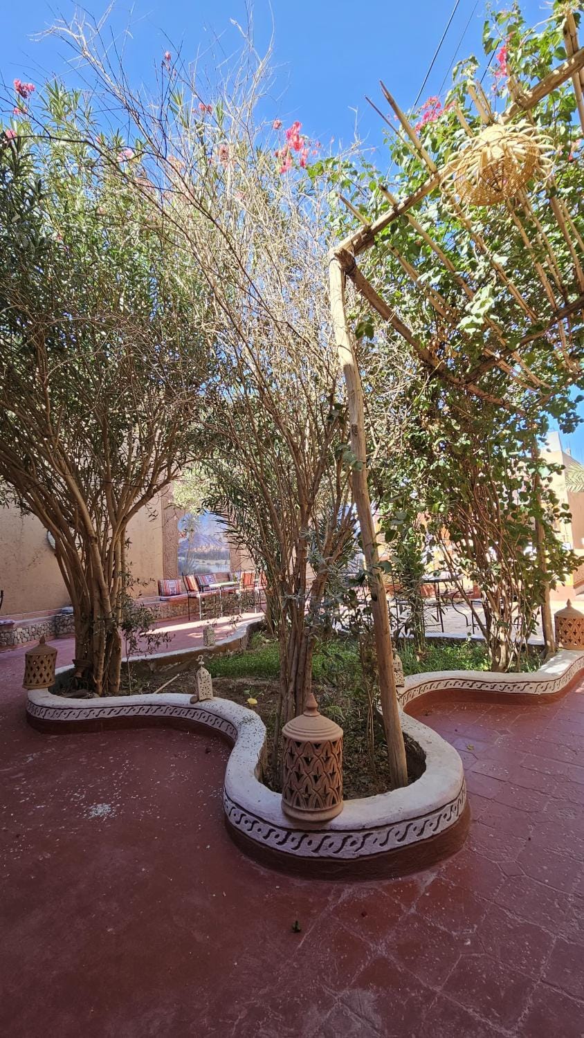 Dar M'hamid Bed and Breakfast in Morocco