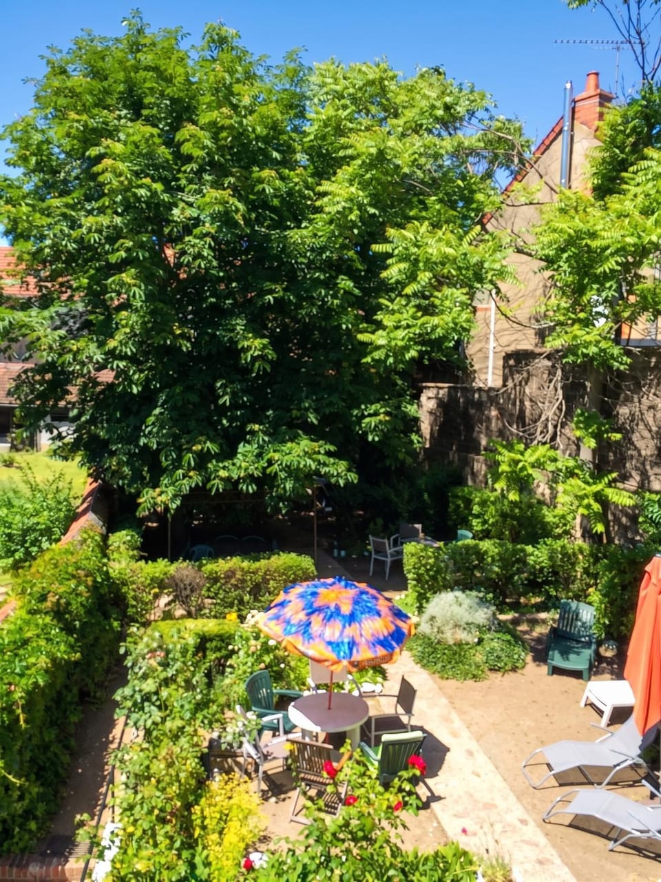 Garden