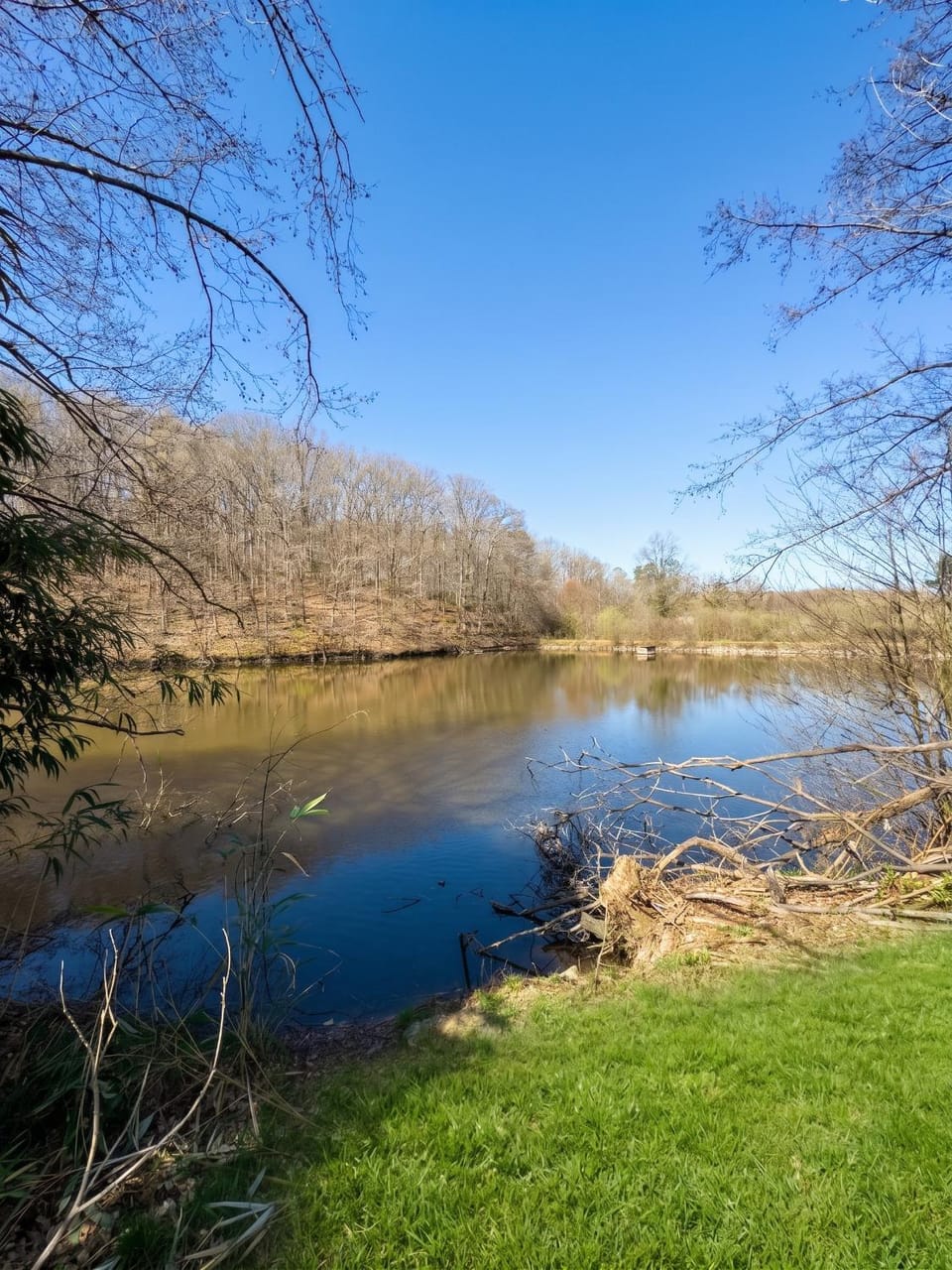 Lake view