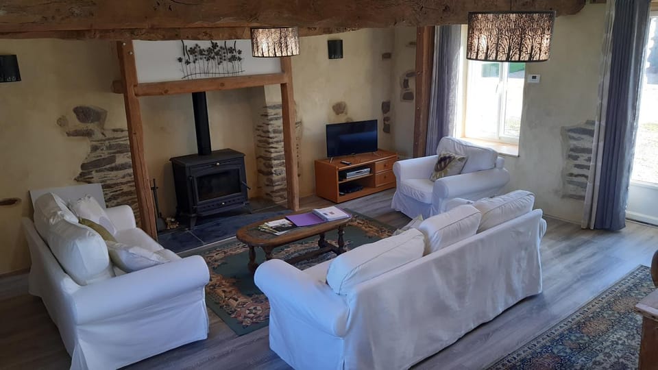 Library, TV and multimedia, Living room, Seating area