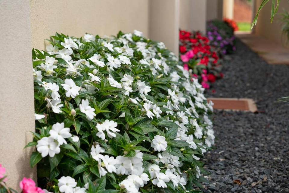 Garden, Decorative detail