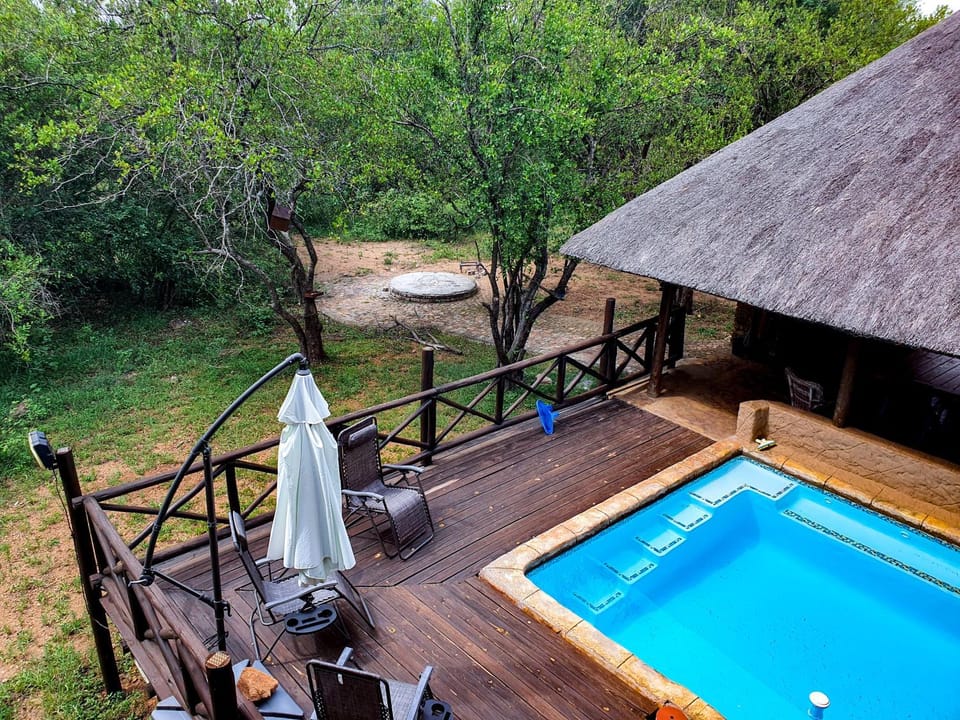 Natural landscape, Garden view, Pool view, Swimming pool, sunbed