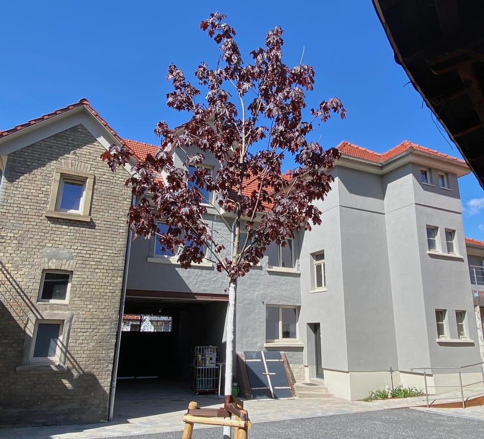 Property building, Patio
