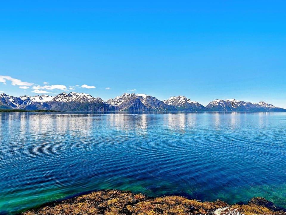 Lake view