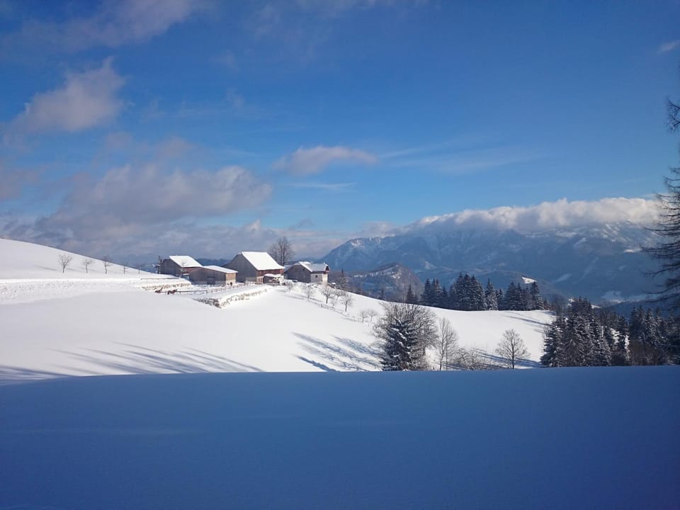Property building, Winter
