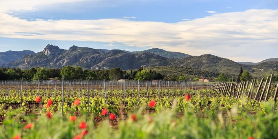Natural landscape, Mountain view