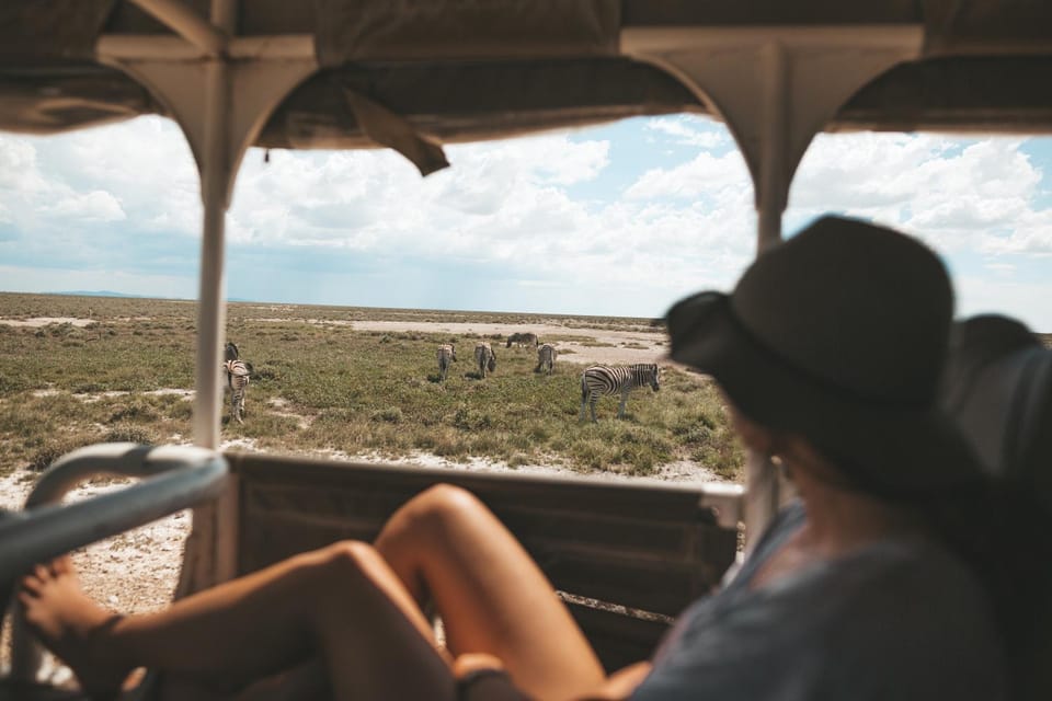 Activities, Animals