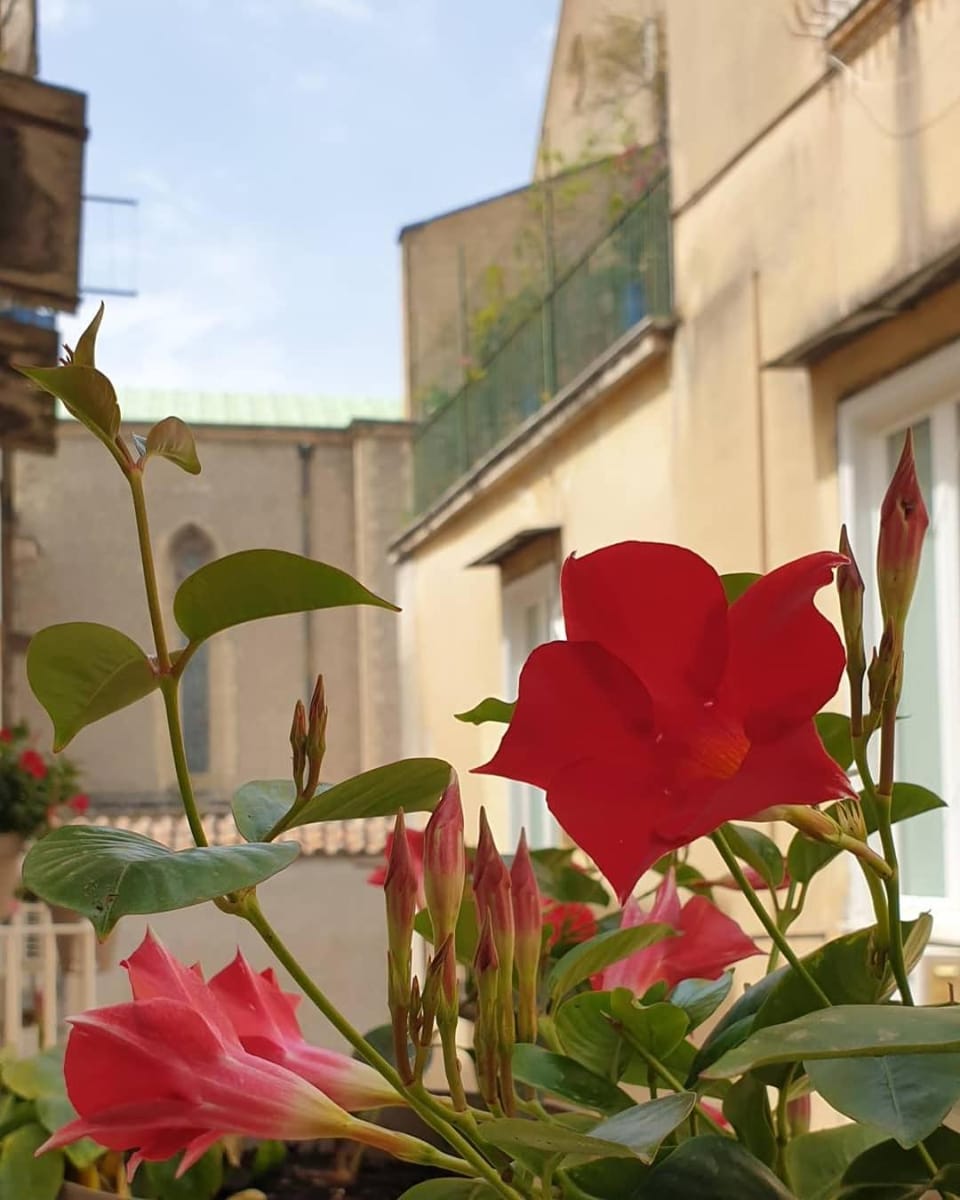 Balcony/Terrace, City view, Quiet street view