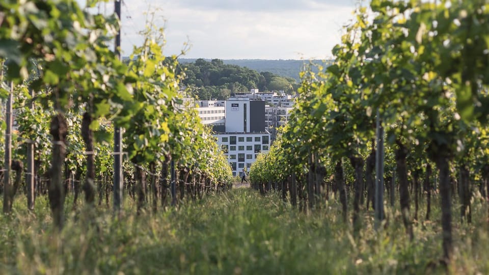 Off site, Natural landscape