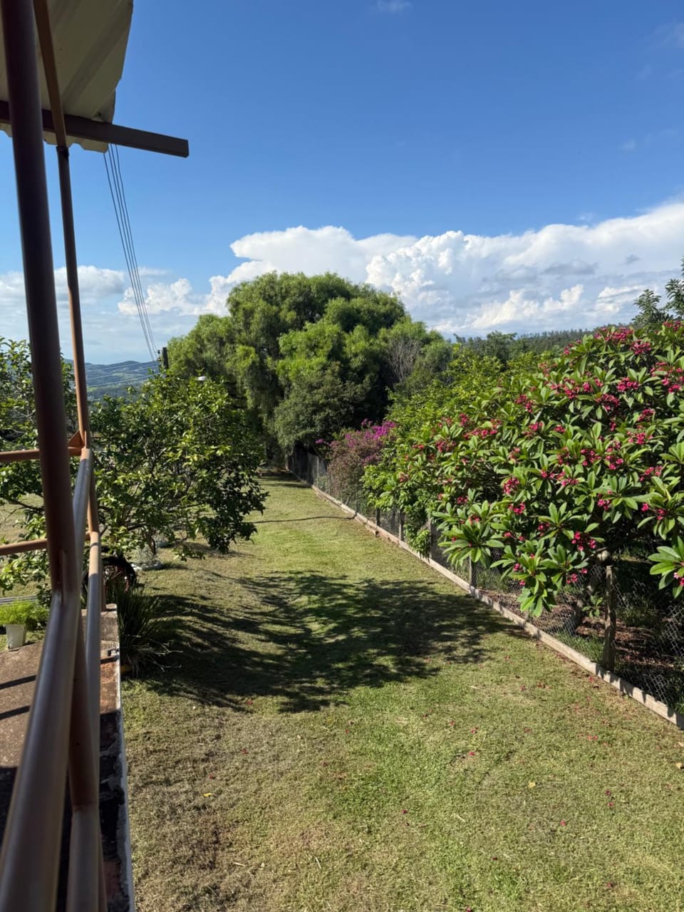 Day, Natural landscape, Garden, Garden view