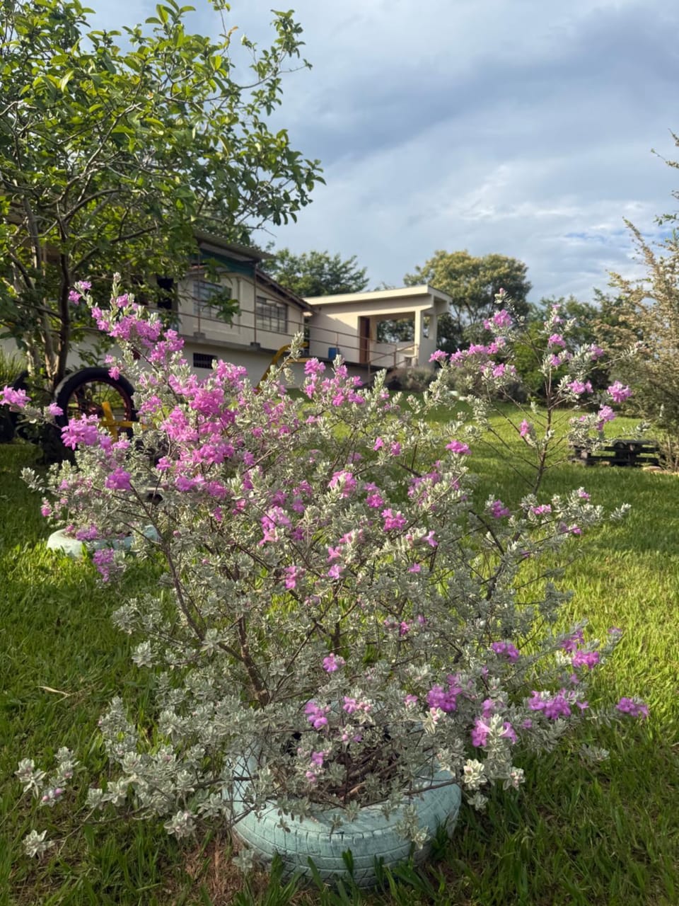 Property building, Day, Natural landscape, Garden, Garden view