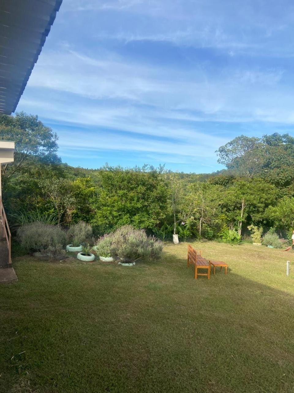 Day, Natural landscape, Garden, Garden view
