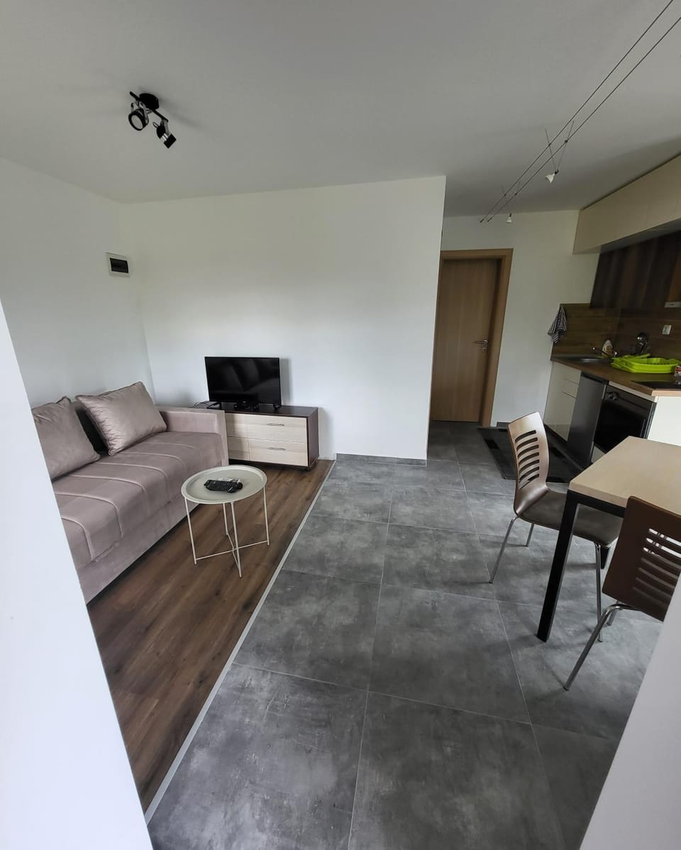 Duos East Apartment in Serbia