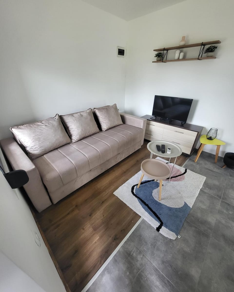 Duos East Apartment in Serbia
