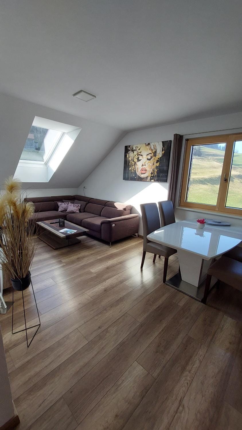 Living Apartment Apartment in Vorarlberg, Austria